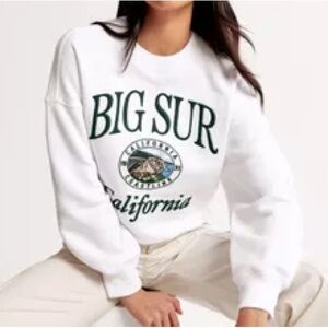 Abercrombie & Fitch sweatshirt